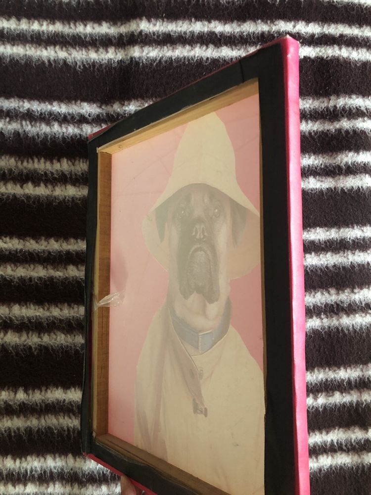 Obraz psa na różowym tle