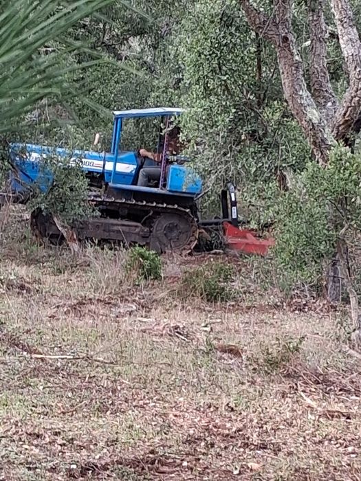 Limpezas de terrenos