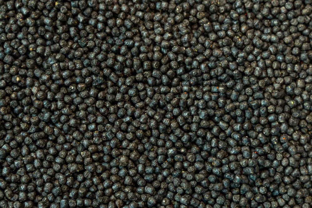 TUBIFEX pokarm tonący 2kg [jesiotr, karp, karaś]