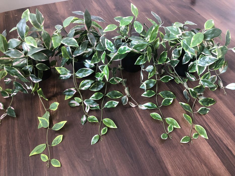 Kwiat sztuczny Fejka IKEA