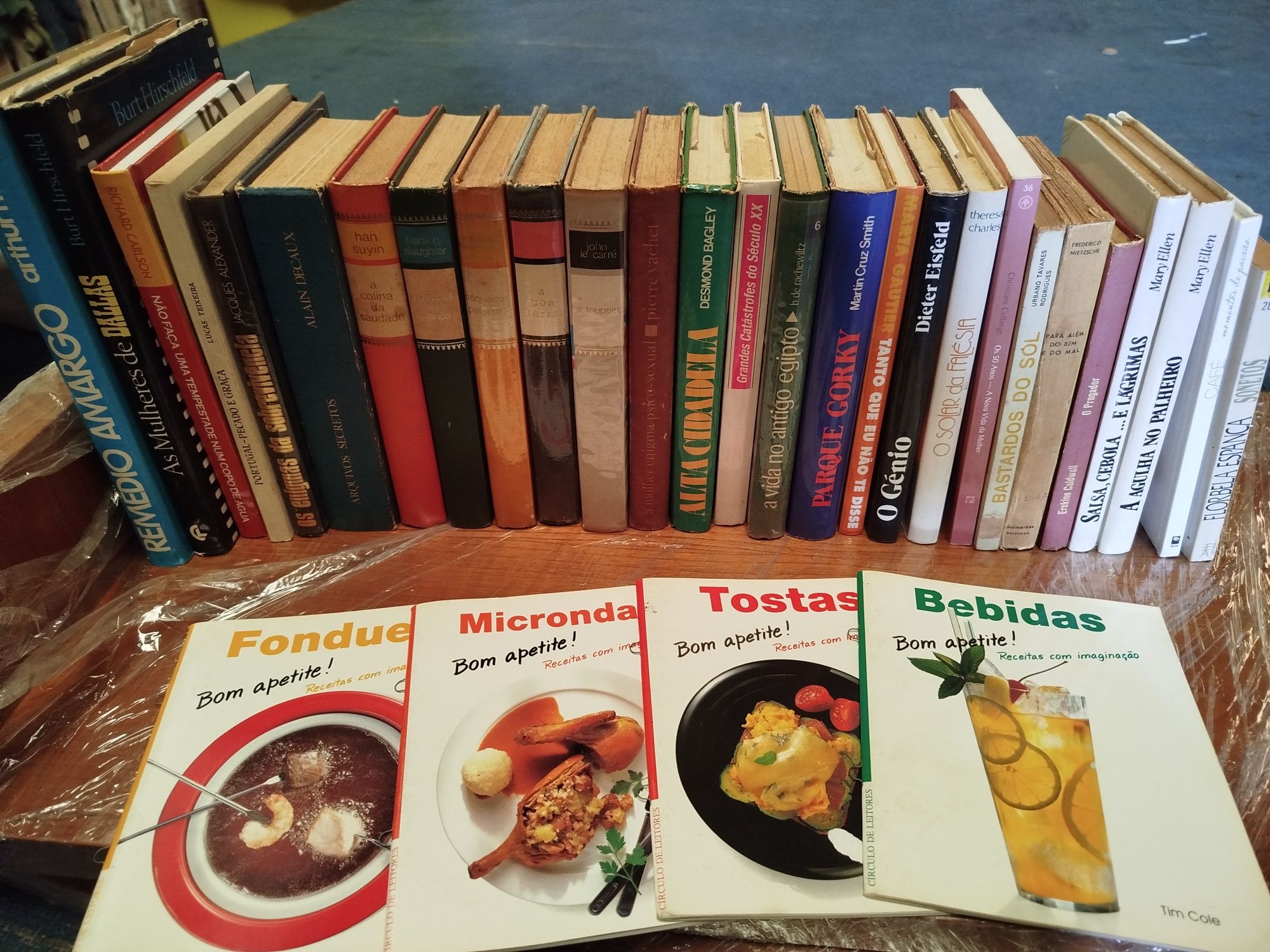Livros sortidos ( desocupar)