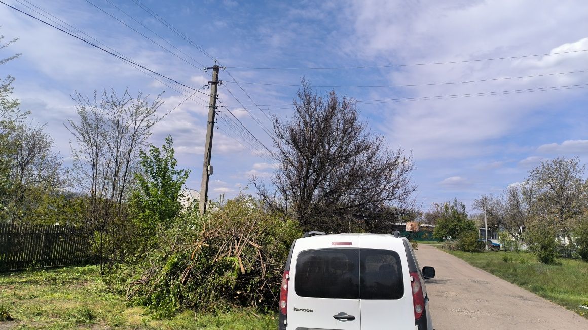 Безкоштовно віддам гілки . Дрова.  Щепа .