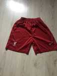 Spodenki Liverpoolu