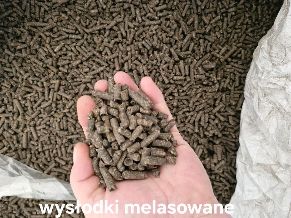 DDGS, Młóto browarniane, Otręby, Śruta sojowa i rzepakowa, Wysłodki
