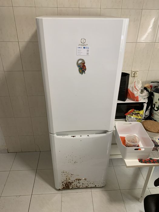FRIGORIFICO INDESIT