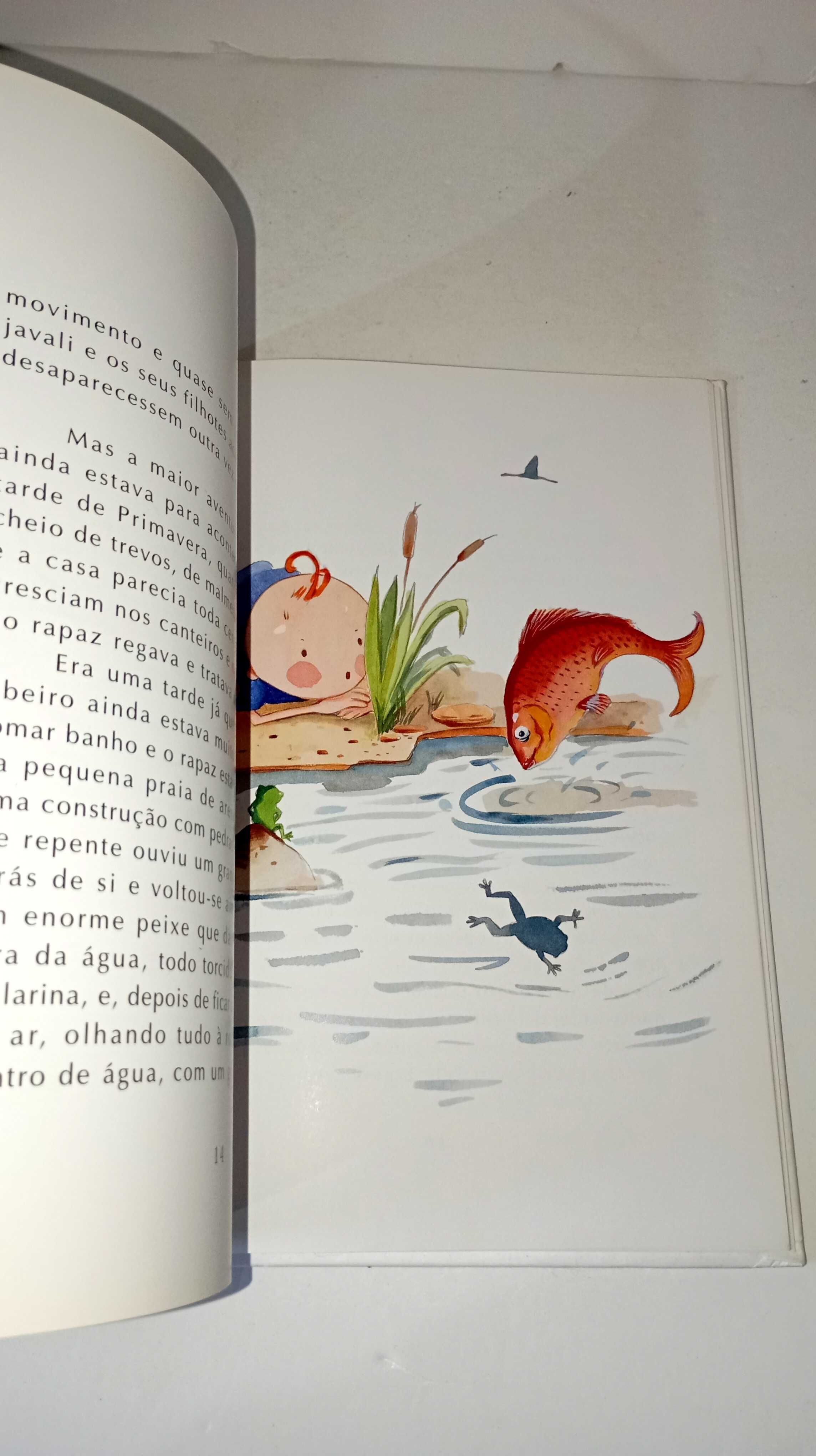 O Segredo do rio - Miguel Sousa Tavares