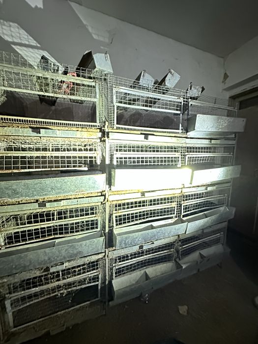 Клітки бройлер, кролики батарея клетки 20 шт