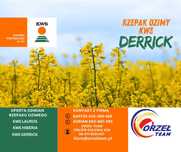 Rzepak ozimy KWS DERRICK potencjał mieszańcowy
