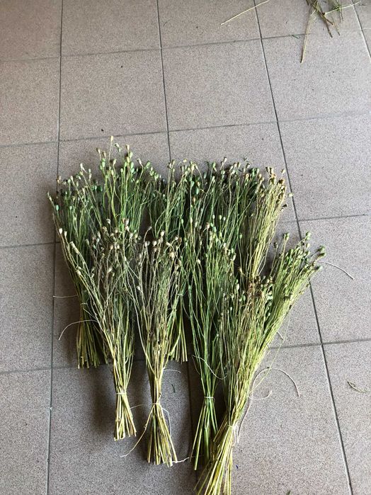 Букети - сухоцвіти польового та декоративного маку.