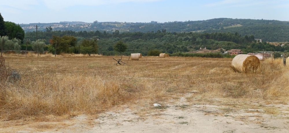 Terreno rústico para lotear