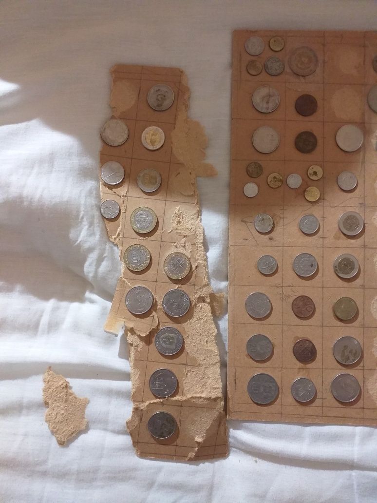 Moedas de escudos