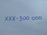 Zloty numer XXX-300-000