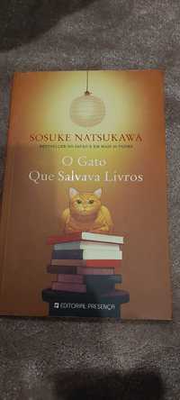 Livro "o gato que roubava livros"