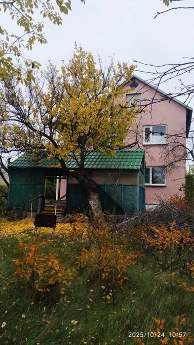 Дві дачні діоянки с. Чкаловка