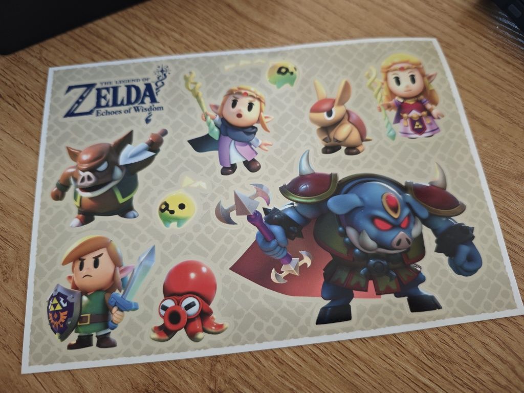 The Legend of Zelda Echoes of Wiadomo Nintendo Switch protektor