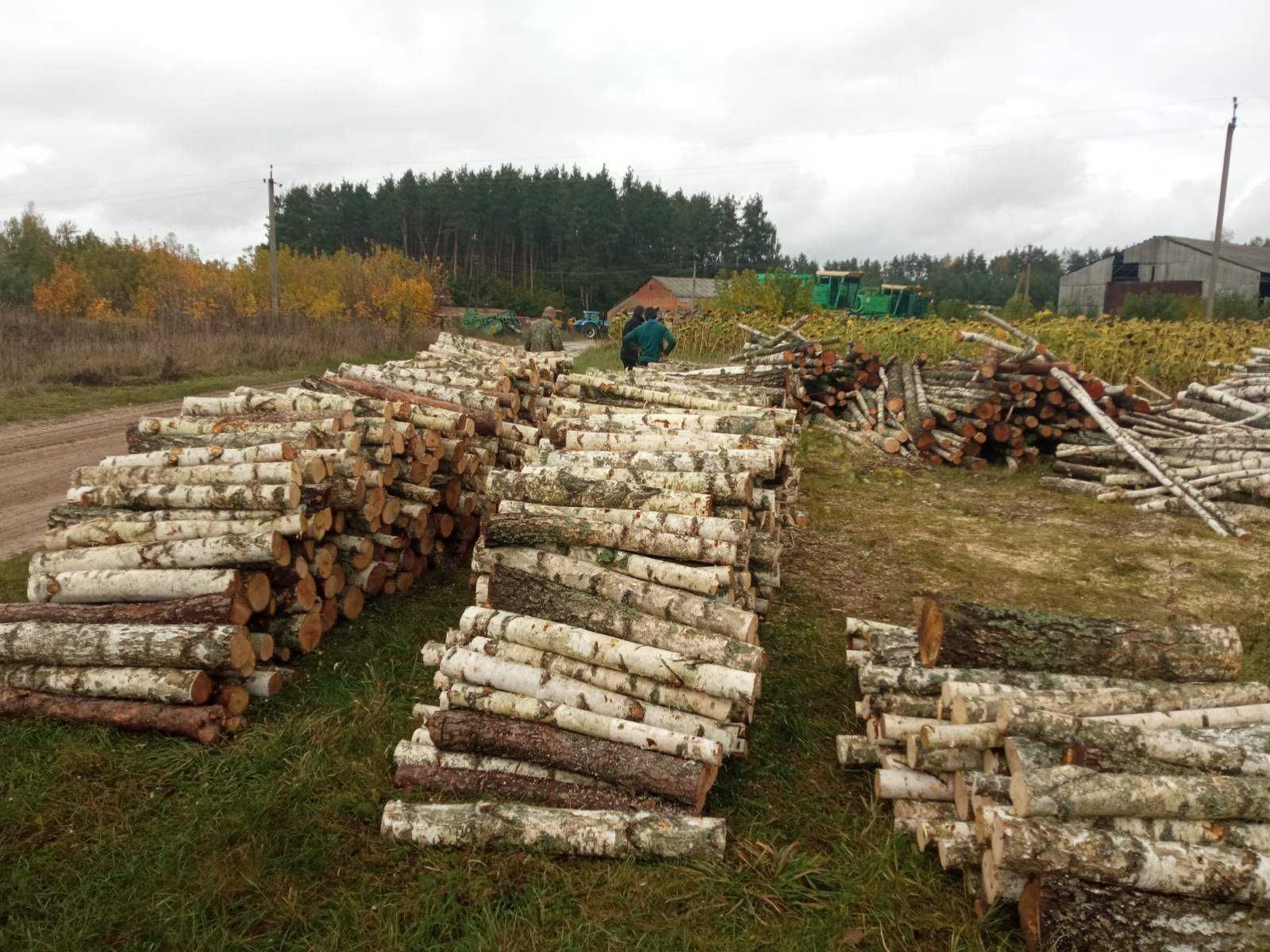 Купить дрова колотые береза, ольха, сосна  в Киеве и обл