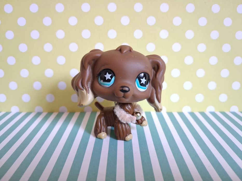 Littlest Pet Shop LPS unikatowy pies Cocker Spaniel #960 pop