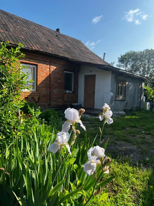 Продам цегляний будинок+30 соток землі, Волиця