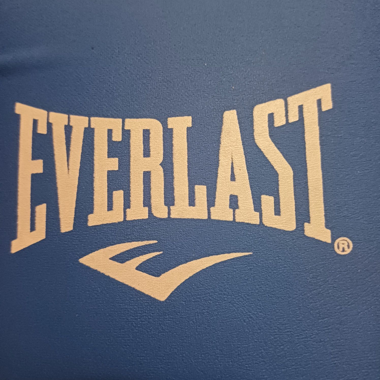 Боксерские перчатки Everlast