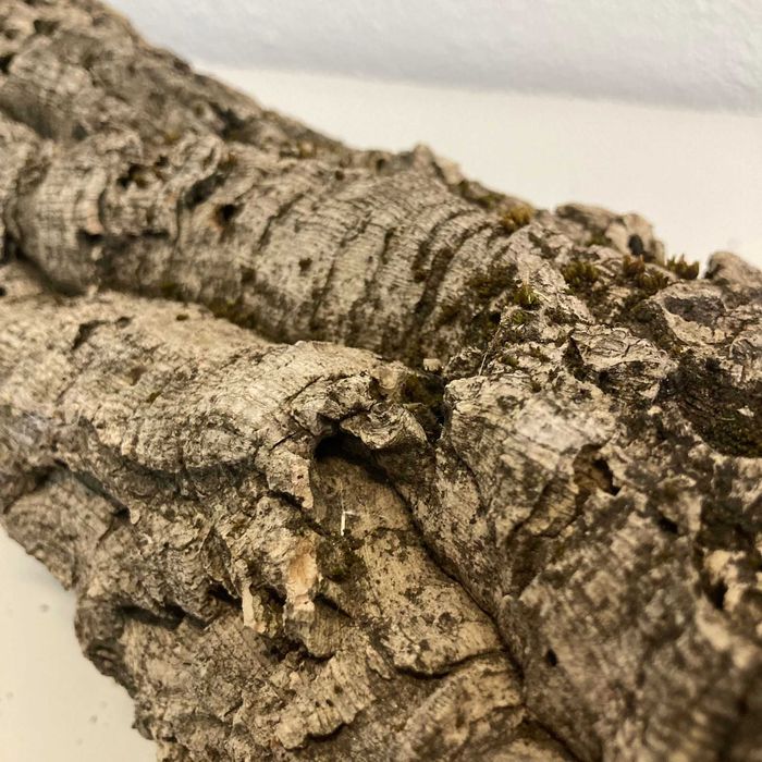 NOVO - Túnel de 100% CORTIÇA, Abrigo para roedores e repteis