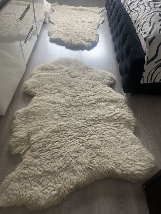 Skóry owcze wyprawione