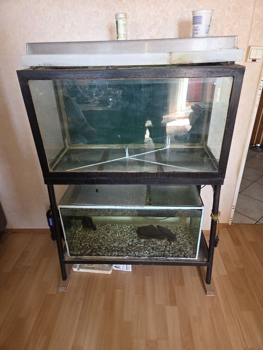 Akwarium z oświetleniem