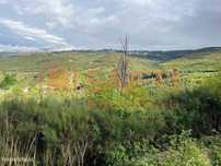 Terreno à venda em Melo - 3.12 ha