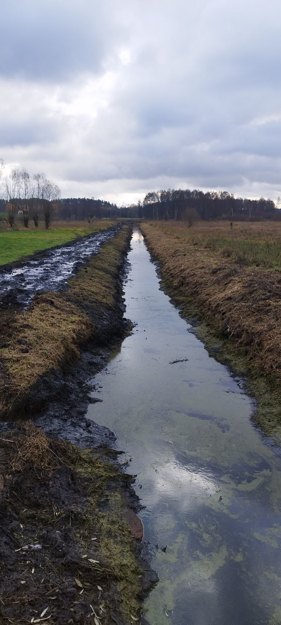 Roboty ziemne,  osuszanie, melioracje, wykopy, karczowanie, niwelacja
