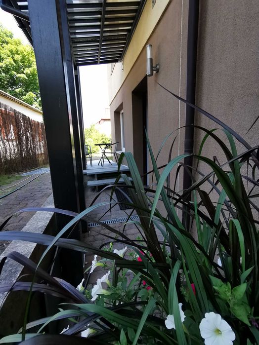 noclegi, Gdańsk, Oliwa, Sopot, studio, przy lesie