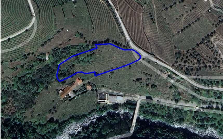 Vinha no Douro (Santa Marta de Penaguião)