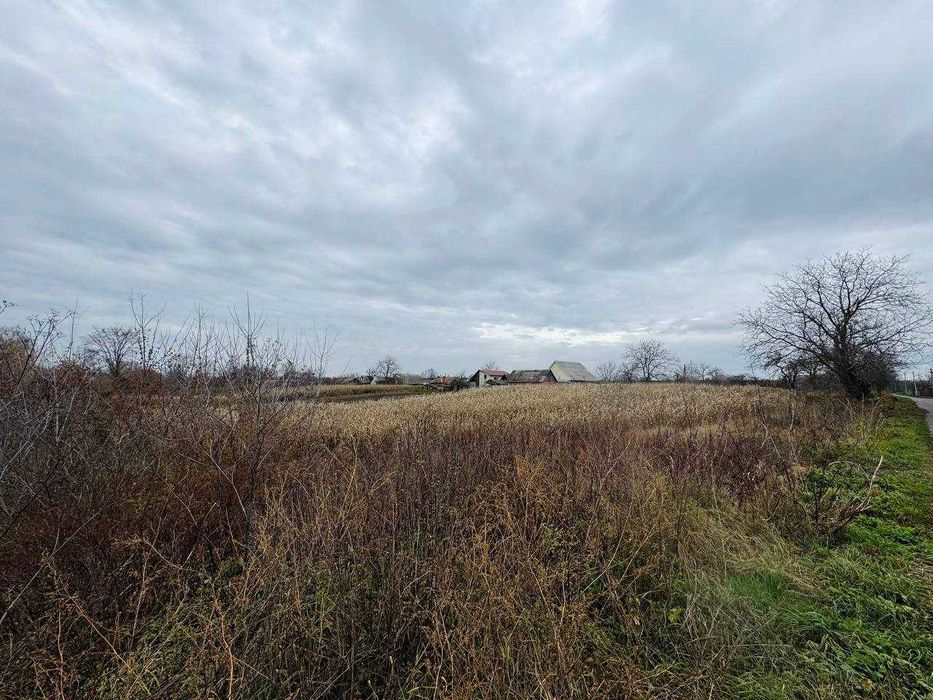 Продаж земельної ділянки у центрі с. Стадниця!