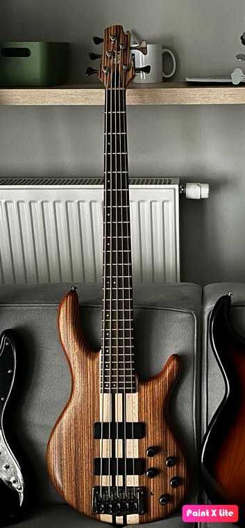 CORT A5 CUSTOM Z + Hard Case + GregoryPreAmps G-BP3