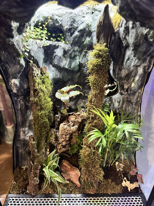 Terrarium tropikalne 40x40x60 idealne dla gekona