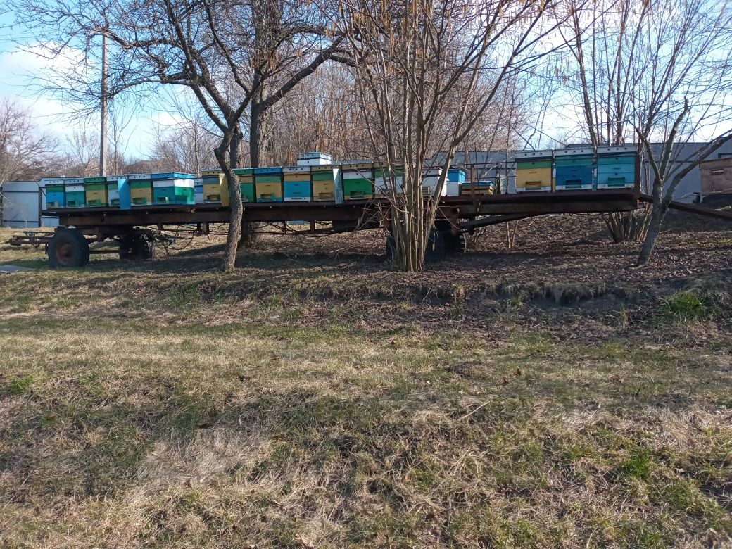 Причіп для бджіл