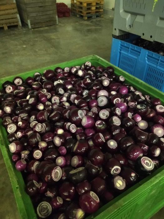 ziemniak cebula pietruszka marchew seler burak ziemniaki dynia obrane