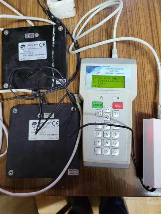 Zegar AMCSK dla gołębi