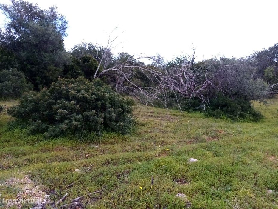 Terreno Rustico com 1930 m2, Loulé, Algarve