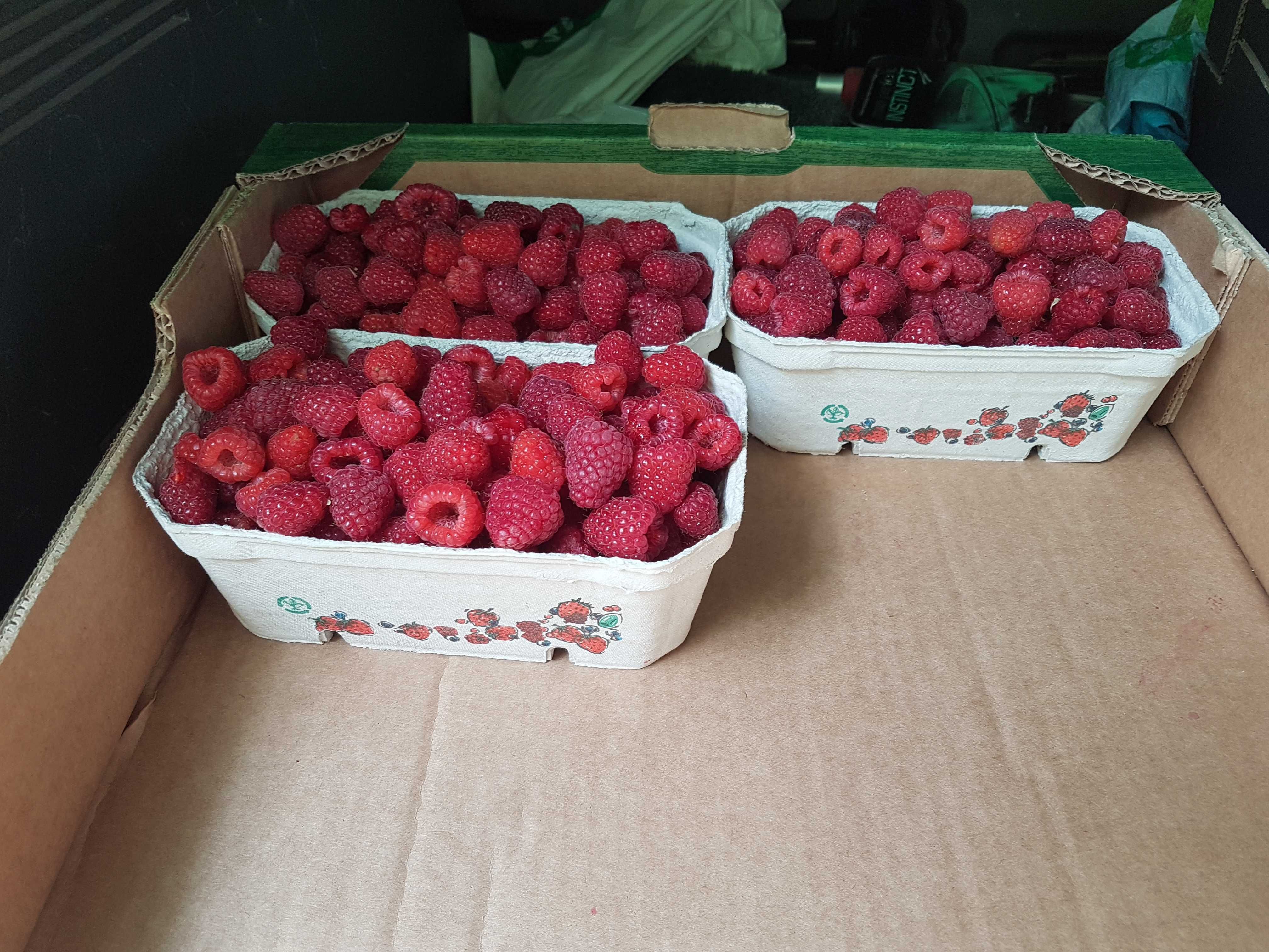 Świeze maliny z własnej  plantacji  ekologicznej
