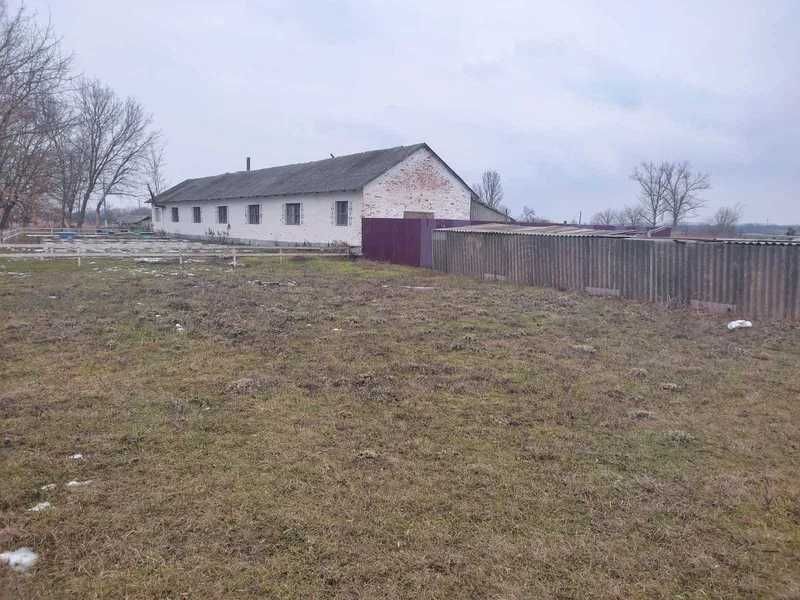 Виробничий будинок, 179,4 кв. м, с. Червоні Квіти, вул. Берегова, 21А