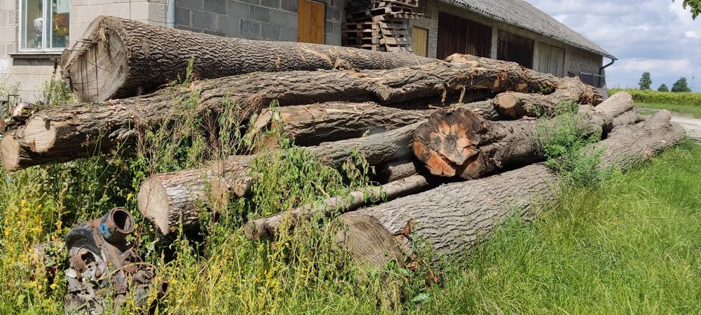 Drewno na deski meble schody akacja wiśnia orzech świerk jesion lipa