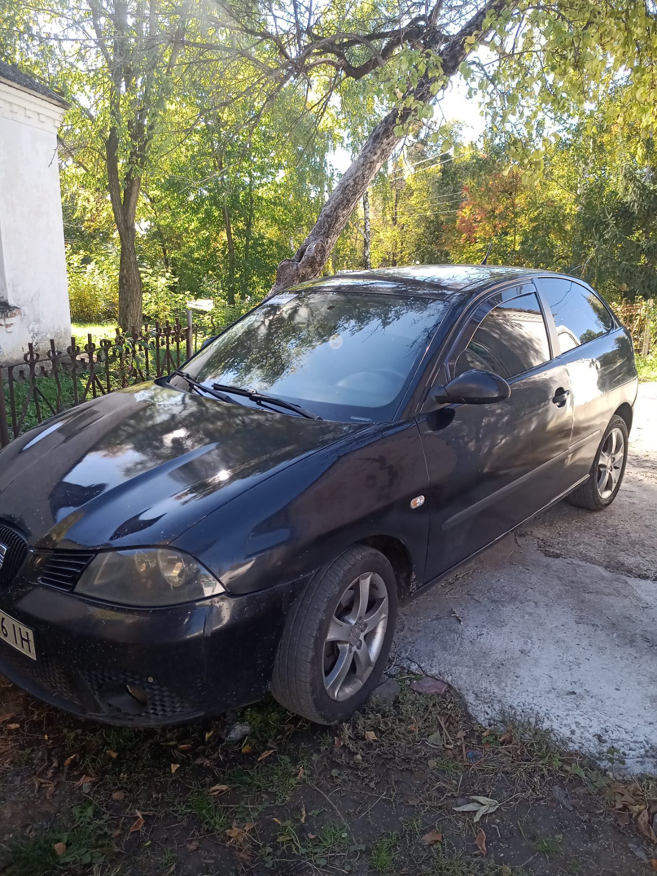 Seat ibiza sport