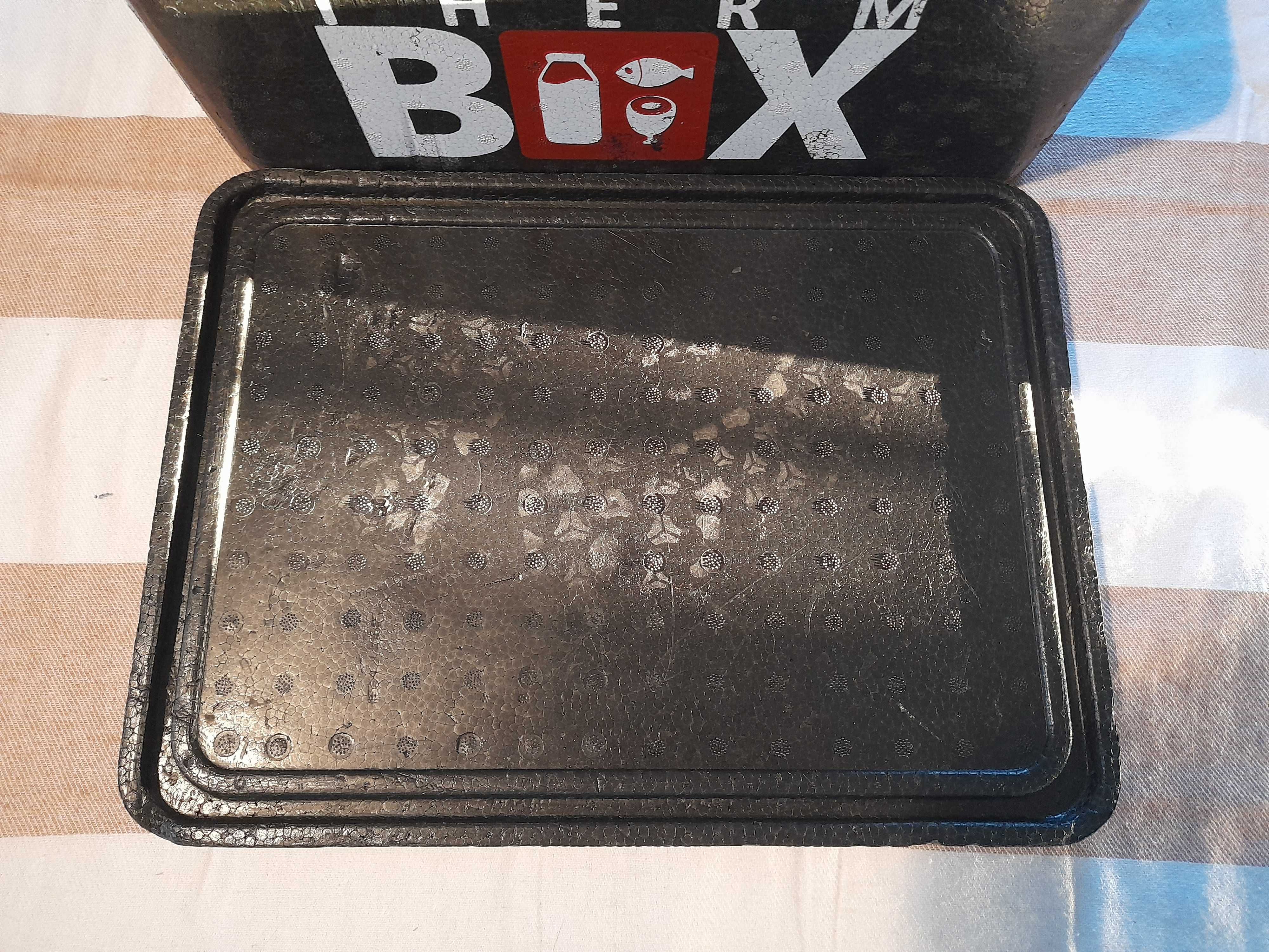 THERM BOX Thermobox Small 12L - Izolowany pojemnik 36x26x13 cm