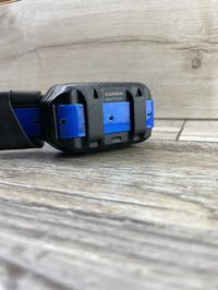 Garmin TT15 Mini Нашийник з GPS-трекером