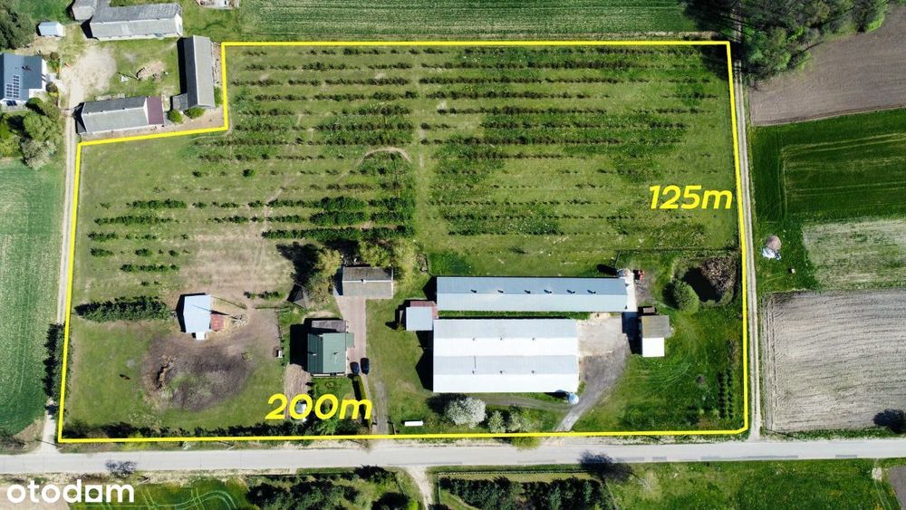 Ferma drobiu na sprzedaż, gospodarstwo z domem i dużą działką