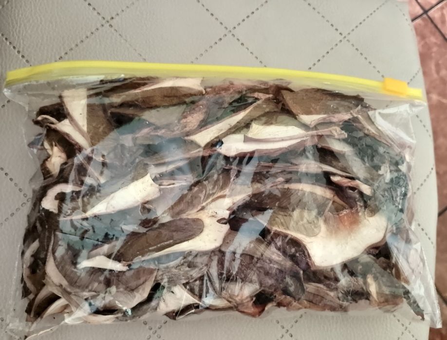 Grzyby suszone tegoroczne