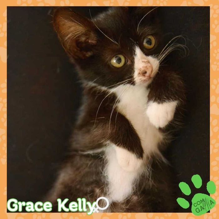 Bebés com um sonho... UMA FAMILIA!