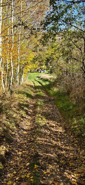Na sprzedaż działka 56 arów  Żyznów