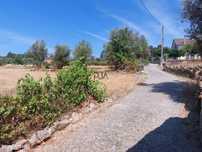 Terreno para construção em Encoberta, Penalva do Castelo