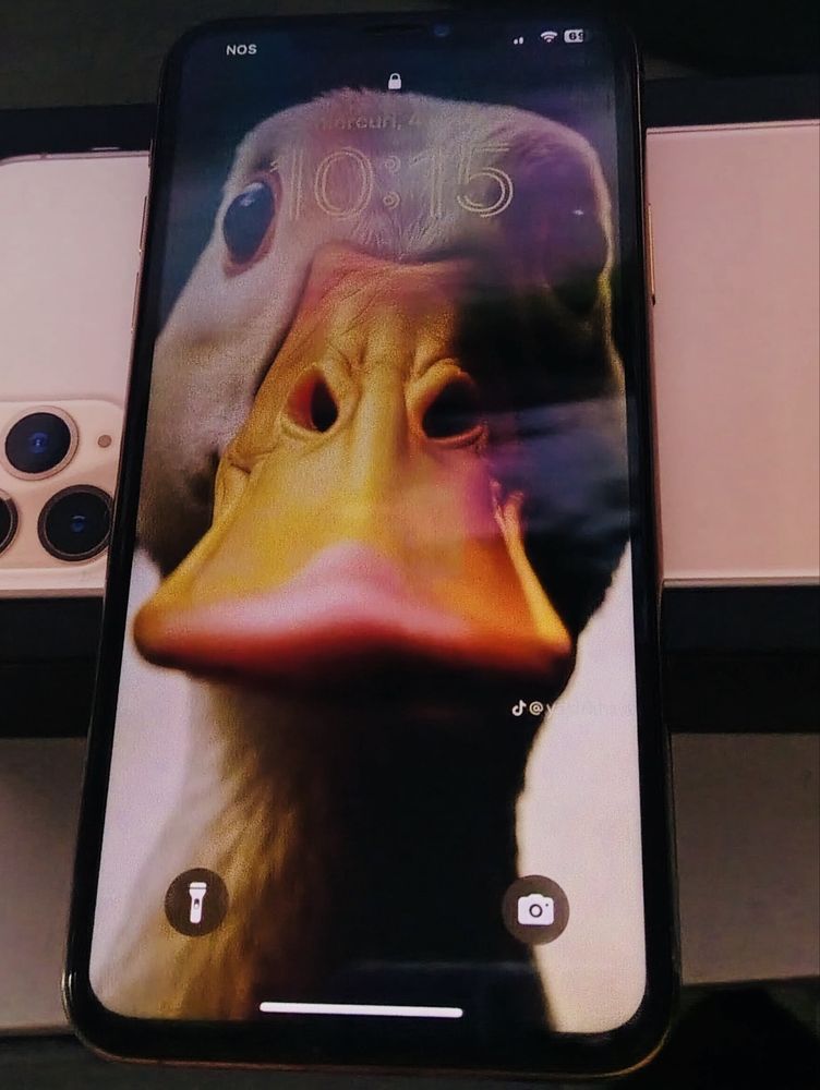 Iphone 11 pro max de 64 gb com caixa