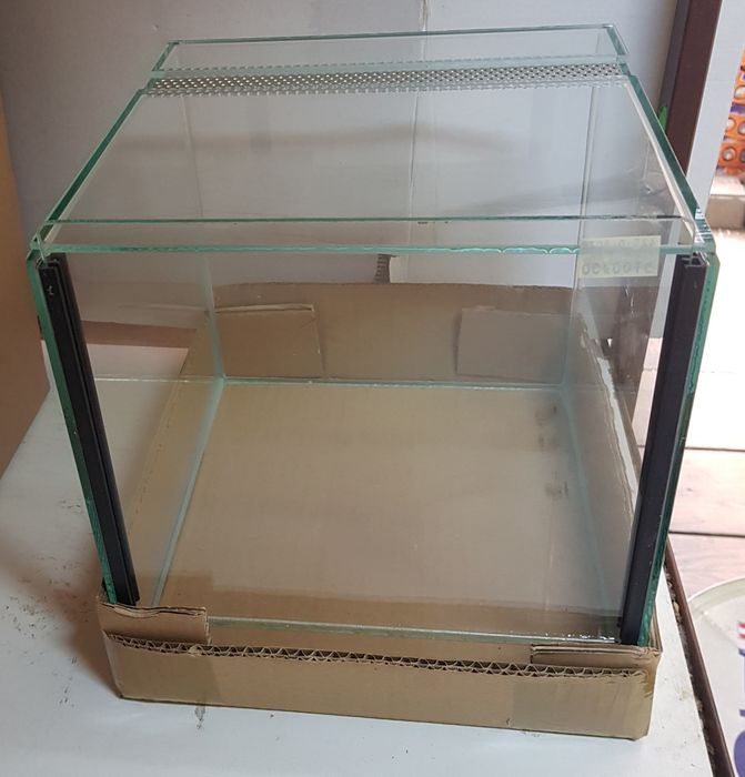 Terrarium do pająka Gilotyna 25